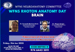 WFNS Rhoton Anatomy Day - BRAIN "Fibers tracts of the brain and Its importance in Neurosurgery"