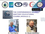 FRIDAY, 4 PM GMT, from Yemen, The Comprehensive Neuroanatomy Educational course: Module 2