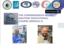 FRIDAY, 4 PM GMT, from Yemen, The Comprehensive Neuroanatomy Educational course: Module 2